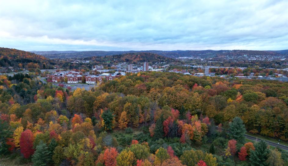 A aerial view of a forest with trees and buildings

Description automatically generated
